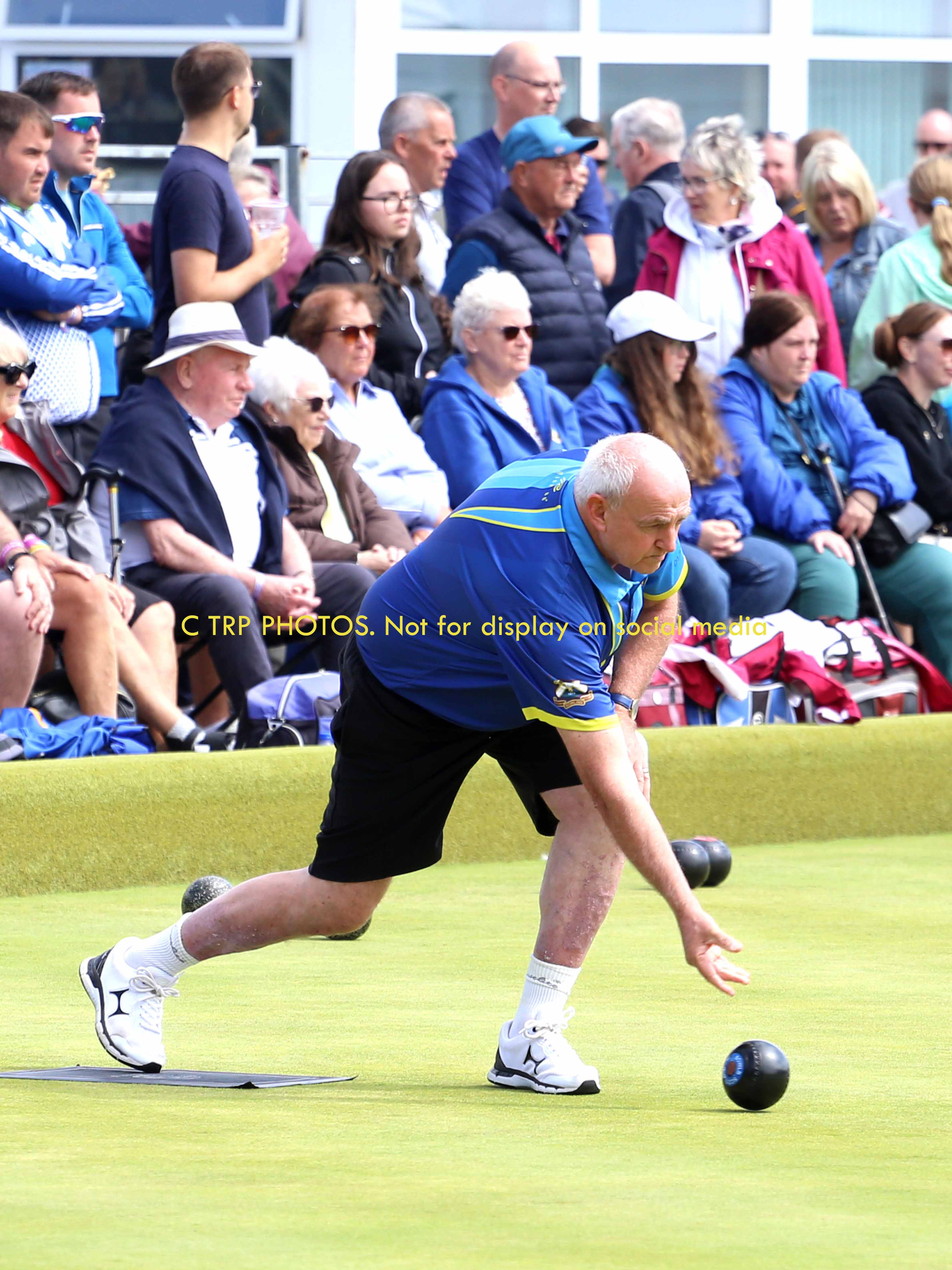 AYR64